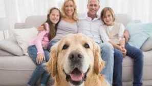 Jak vzít narozeniny u psa